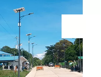 Farms and livestock farms