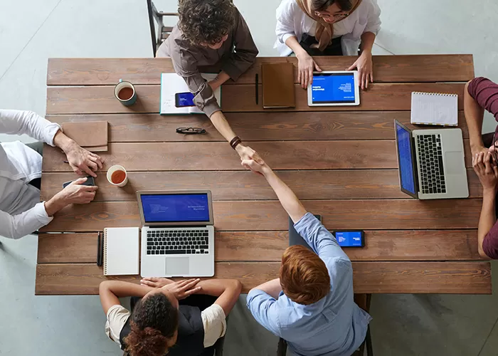 Professional Pre-sale Service