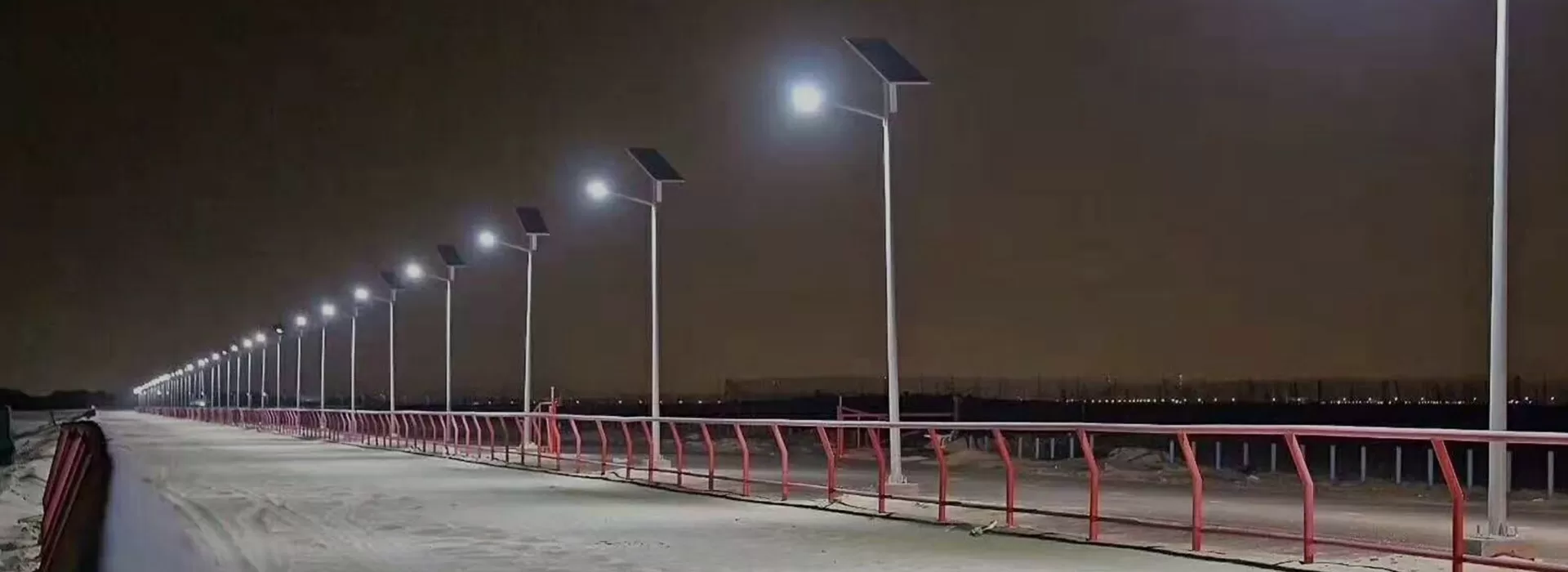 Solar Street Light Case