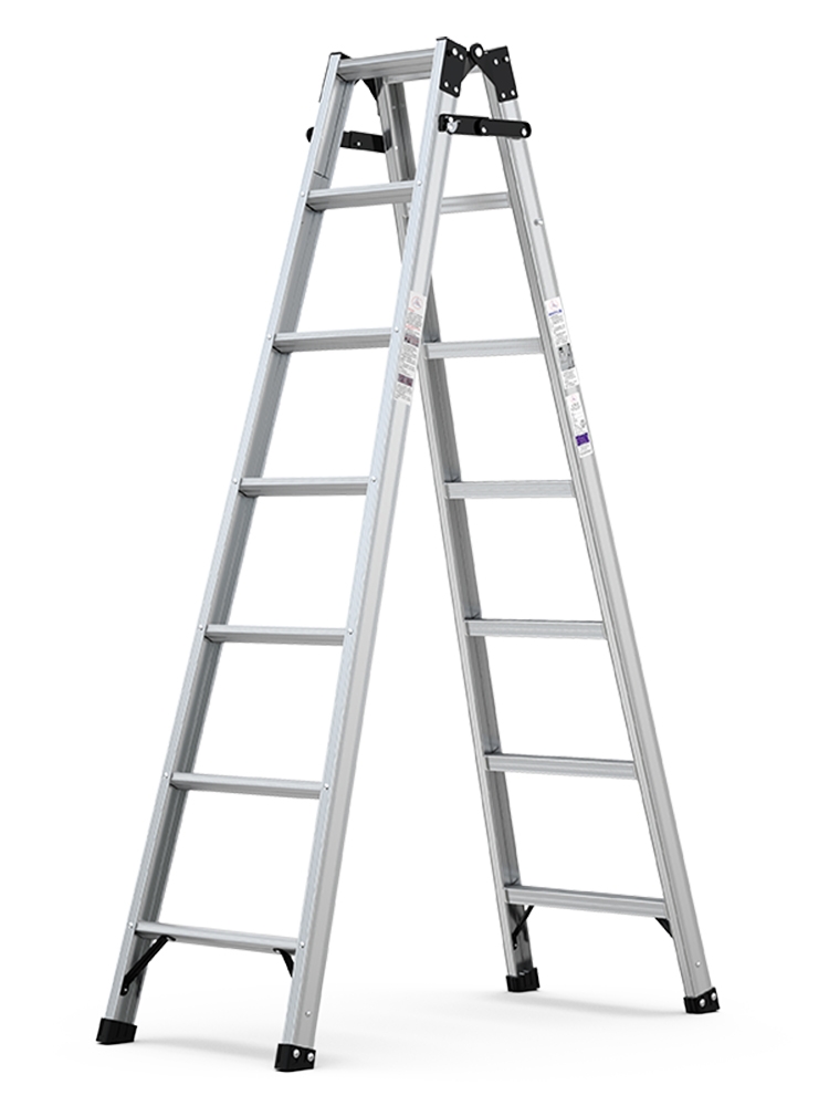 Portable ladder